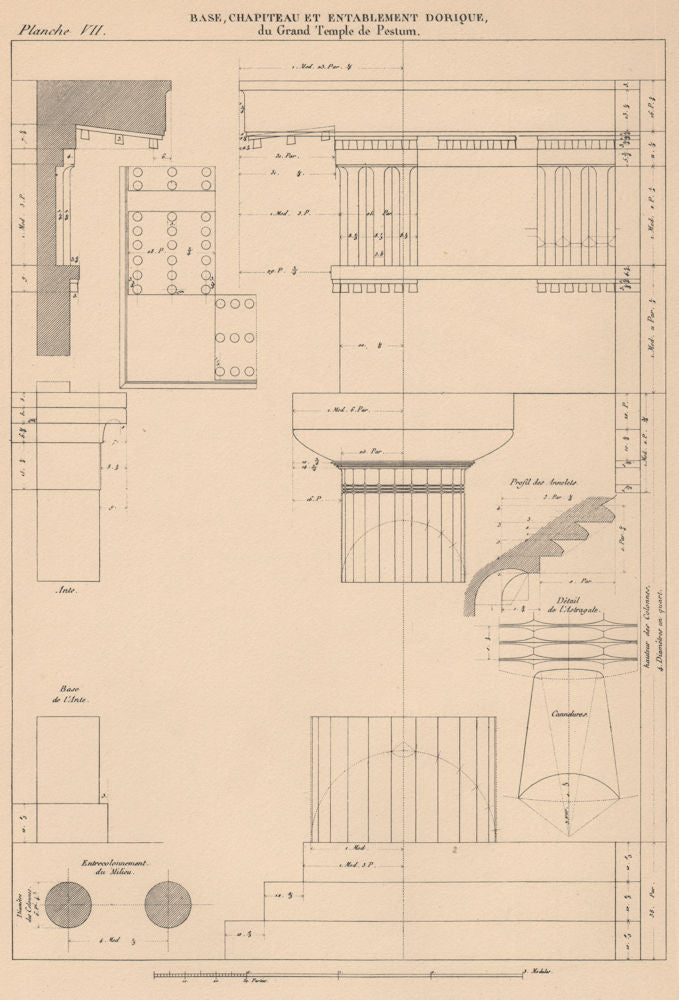 DORIC ARCHITECTURE. Great Temple, Paestum. Base, Capital and Entablature 1931